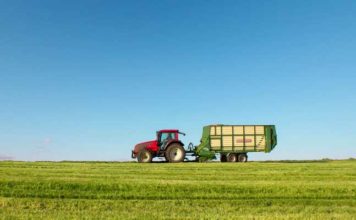 Agriculture