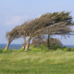 Météo Tunisie : Vents forts et poussière le 14 mars, soyez prudents ! Vents