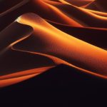 sable