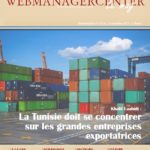 WMC LeMag