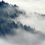 Météo Tunisie : Ciel variable et mer agitée Météo