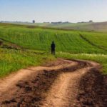 Siliana : 16% des pistes rurales aménagées en prévision de la saison de la moisson