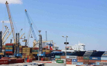 COMMERCE EXTÉRIEUR Algérie : comment 3 961 petites entreprises ont-elles pu demander 130 milliards de dollars d’importations ?