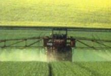 Agriculture