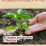 WMC LeMag 195
