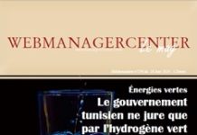 WMC LeMag 196