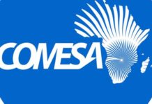 COMESA Logo