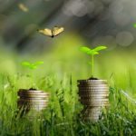 Economie Verte