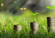 Economie Verte