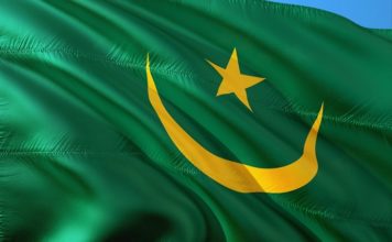 Mauritanie |Diaspora : trois jours pour passer des consultations aux mécanismes d’investissement Mauritanie drapeau
