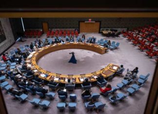 ONU : une résolution pour une représentation cartographique plus équitable de l’Afrique