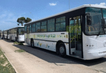 BUS