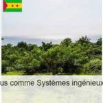 Agriculture durable : l’élevage de carpes en Autriche et la culture du cacao à Sao Tomé reconnus par la FAO