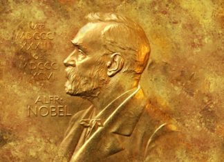 Nobel de médecine 2026 : comment une algue a donné aux scientifiques un interrupteur pour le cerveau Nobel