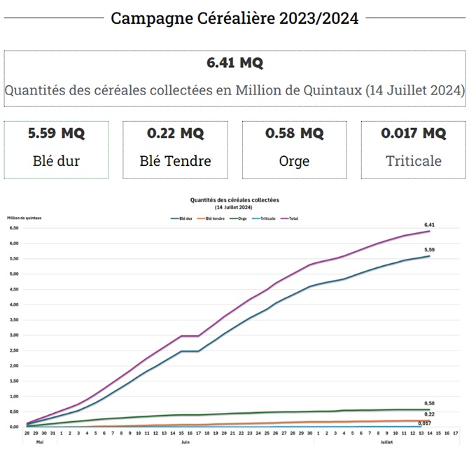 Collecte Céréales Tunisie