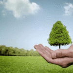 Environnement