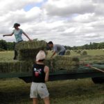 agriculture
