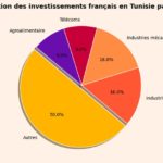 IDE France Tunisie
