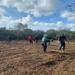 Tunisie : Soli&Green et Tounes Clean-Up lancent un projet de réhabilitation forestière à Nabeul