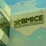 BMICE