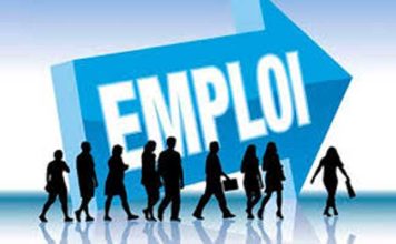 DIASPORA | Allemagne : l’asile se durcit, mais la porte reste ouverte aux compétences tunisiennes Emploi
