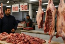 Viande d’agneau en Tunisie : le prix du kilo peut-il grimper à 80 dinars ? Prix Viande Mouton