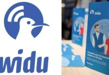 Tunisie : la diaspora peut financer directement les micro et petites entreprises via WIDU Africa