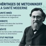 VOTRE SANTE | Metchnikoff : le scientifique qui a dévoilé les défenses du corps humain SANTE Immunité