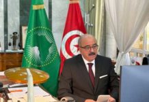 Tunisie : Mohamed Ali Nafti réaffirme l’engagement de l’État en faveur des droits de l’Homme à la Commission africaine