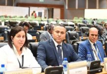 Parlement panafricain : la Tunisie présente sa vision pour l’intégration africaine à Midrand
