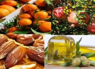 Tunisie : les exportations bio atteignent 669,2 MD à fin août 2026
