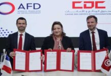 Tunisie : lancement du projet « Watani » pour mobiliser la diaspora au service de l’entrepreneuriat