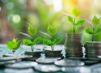 Marché obligataire tunisien : 96,9 % des financements privés captés par le secteur financier