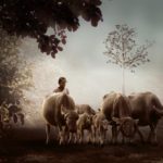 Agriculture