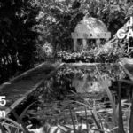 “Hortus” : Jellel Gasteli dévoile à Tunis ses photographies inédites du jardin historique d’Henson