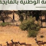 Parc national d’El Feija : un centre d’écotourisme abandonné depuis 10 ans