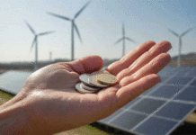 Énergies renouvelables : Le financement participatif au cœur de la transition énergétique