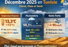 Climat en Tunisie : décembre 2025 marqué par un excédent thermique et des pluies contrastées
