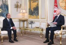 Kaïs Saïed reçoit le chef de la diplomatie égyptienne et réaffirme le soutien à une solution libyo-libyenne