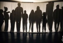 Festival des Journées des Arts de la Marionnette : immersion dans « Les ombres, du réel au fantastique »