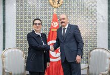 Développement et multilatéralisme : Tunis et l’ONU préparent le cadre de coopération 2027-2031