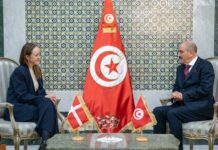 Coopération bilatérale : la Tunisie et le Danemark visent un partenariat stratégique élargi