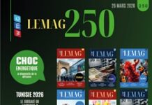 WMC LEMAG 250