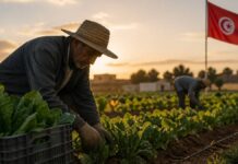 SMAG Salaire Minimum Agricole