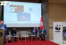 Béjaïa accueille un atelier algéro-tunisien stratégique sur la biodiversité et le changement climatique