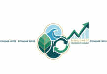 Economie vert