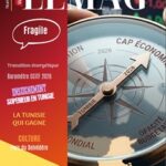 WMC LEMAG 253