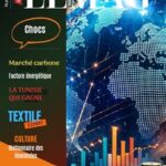 WMC LEMAG 252