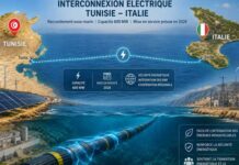 Tunisie : la CDN 3.0 mise sur une transition énergétique massive pour réduire de 62 % l’intensité carbone d’ici 2035