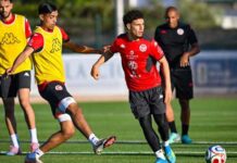 Mondial 2026 : la FTF renforce le staff des Aigles de Carthage avec Fayçal Khachnaoui et Morgan Ancian